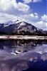 ColoradoNative76's picture