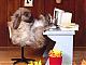 furball's Avatar