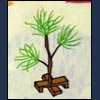 Seaglass2654's Avatar